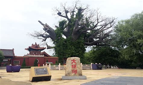 如家酒店 洪洞大槐树|广胜寺附近的 10 大酒店